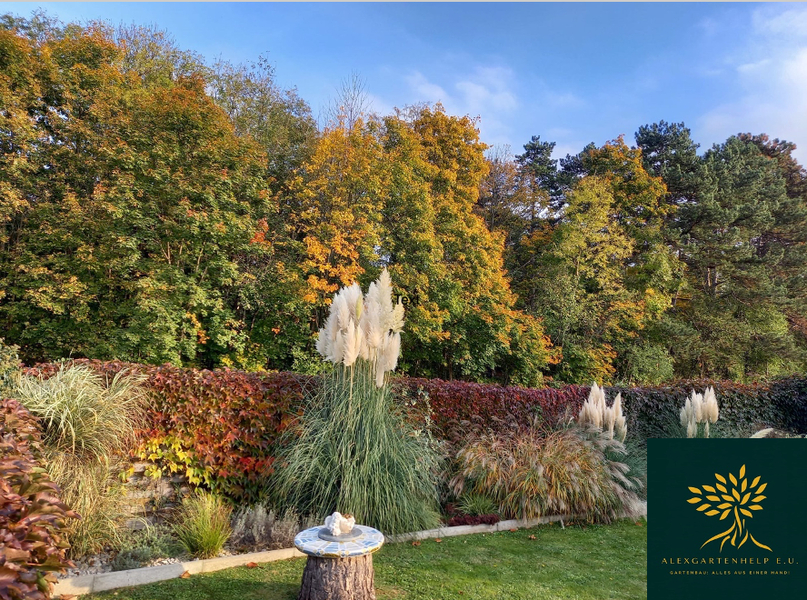 Titelfoto von ALEXGARTENHELP e.U.